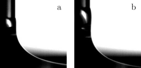 10122 Langmuir, Vol. 23, No. 20, 2007 Maleki et al. Figure 13. Appearance of a rim at the threshold. The liquid is silicone oil with a viscosity of 50 mpa s, and the velocity is 1.63 mm/s.