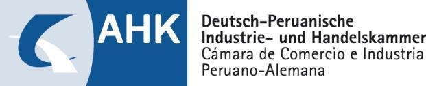 German-Peruvian Workshop on Research Cooperation on Raw Materials of