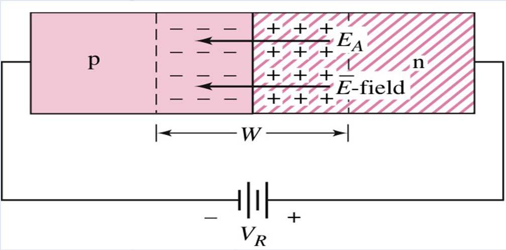 The evere-biaed pn Junction depletion (nonconductive p (conductive n (conductive evere voltage electric field aid built-in electric field => increae depletion region j j0 V V bi