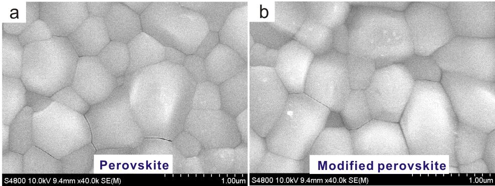 2. Supporting Figures Figure S1. SEM images of perovskite films (a) without and (b) with ZnPc modification. Figure S2.