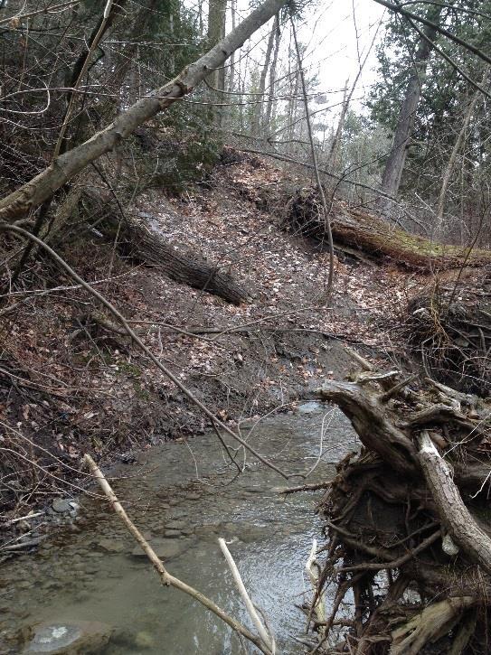 Objective To conduct an integrated fluvial and slope erosion assessment alongside the Oshawa Landfill as a basis for