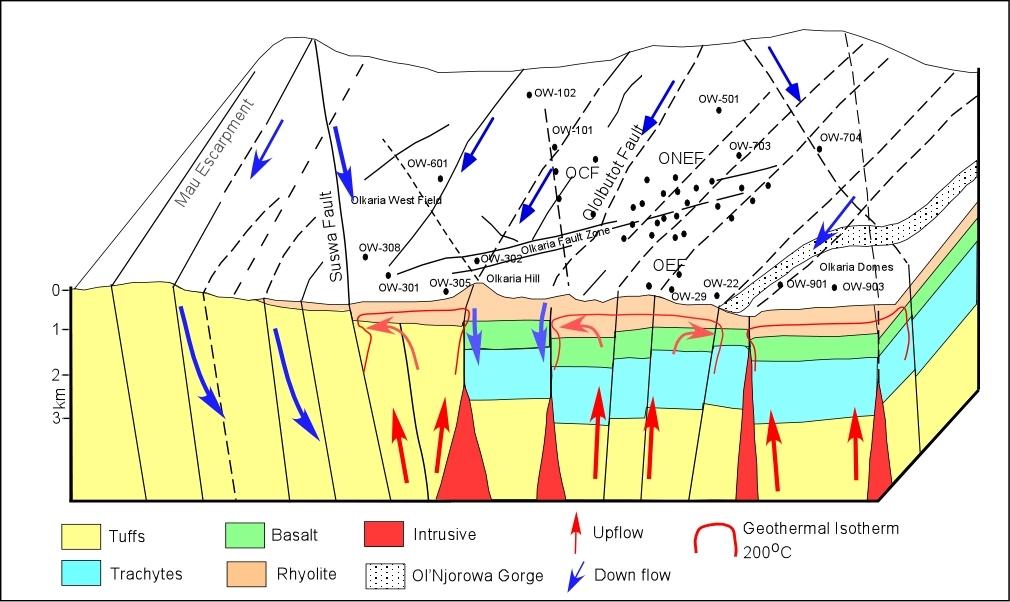 Potential methods for geothermal exploration 7 Mariita FIGURE 5: An integrated geophysical model of Olkaria geothermal field Gravity studies by Geotermica Italiana (1987) collected some 1400 data