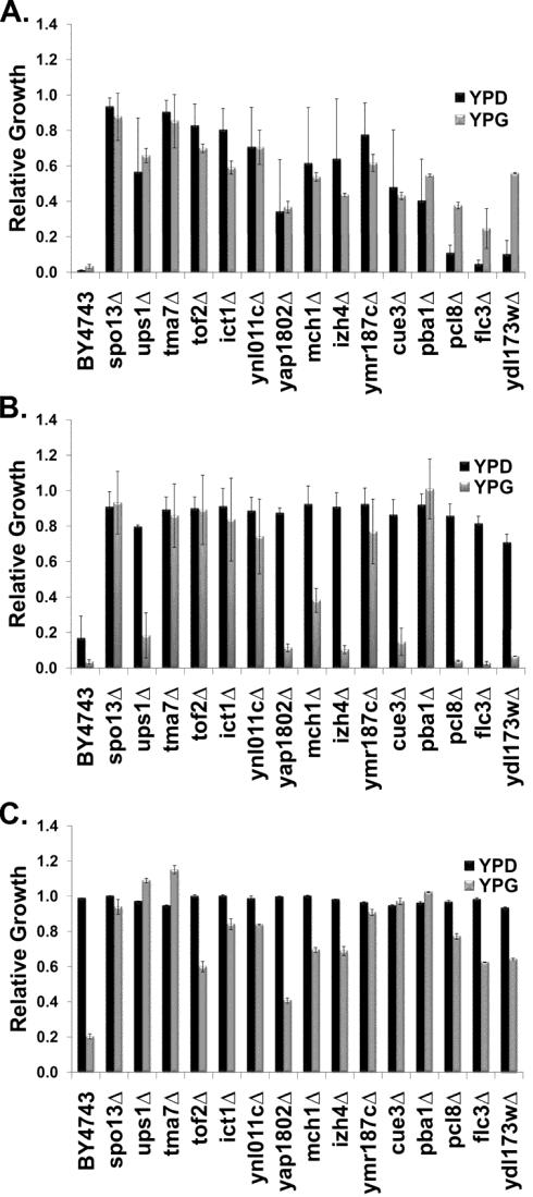 51 Yeast mutants lacking YDC1, an alkaline dihydroceramidase had increased chronological life span, while overexpression of YDC1 led to fragmentation of mitochondria and vacuoles, resulting in