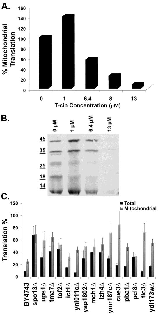 55 Fig. 2.6. Growth of the Tcin resistant 15 strains in the presence of anisomycin in YPD or YPG media. The Tcin resistant 15 strains were grown in YPD or YPG liquid media containing 2.5, 5 or 7.