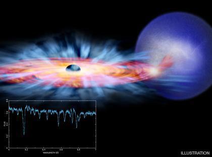 Accretion disk winds may eject a significant of the