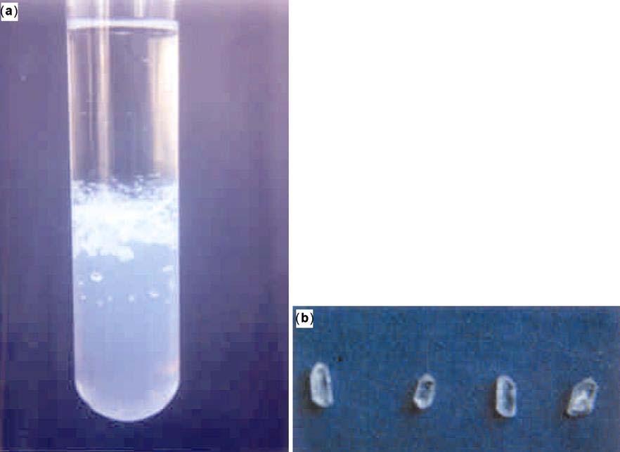 Growth and study of mixed crystals of Ca Cd iodate 641 Table 2. Effect of concentration of reactants of habit, quality and size of Ca 1 x Cd x (IO 3 ) 4. Conc. of reactant in gel Conc.