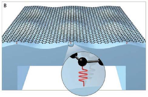 Thermal transport in supported graphene Edge dominated Substrate Dominated Seol et al., Science (2010) and R. Prasher, Science (2010) M.-H. Bae, Z. Li, Z. Aksamija, P. N. Martin, F. Xiong, Z.-Y.