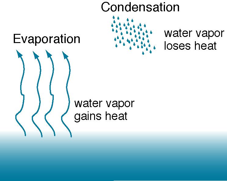 evaporation: water vapor absorbs