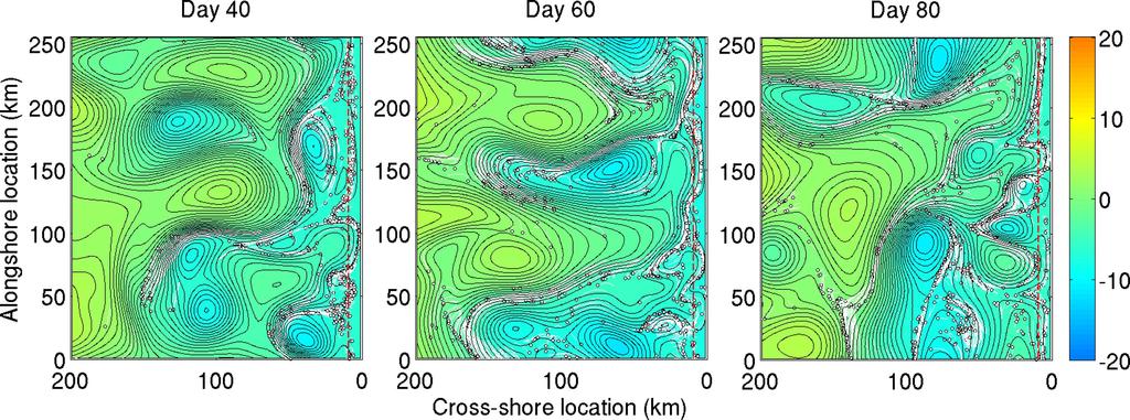 Fig. 1. Model depictions of sea level (color contours in cm) and the trajectories of larvae for days 40 (Left), 60 (Center), and 80 (Right).