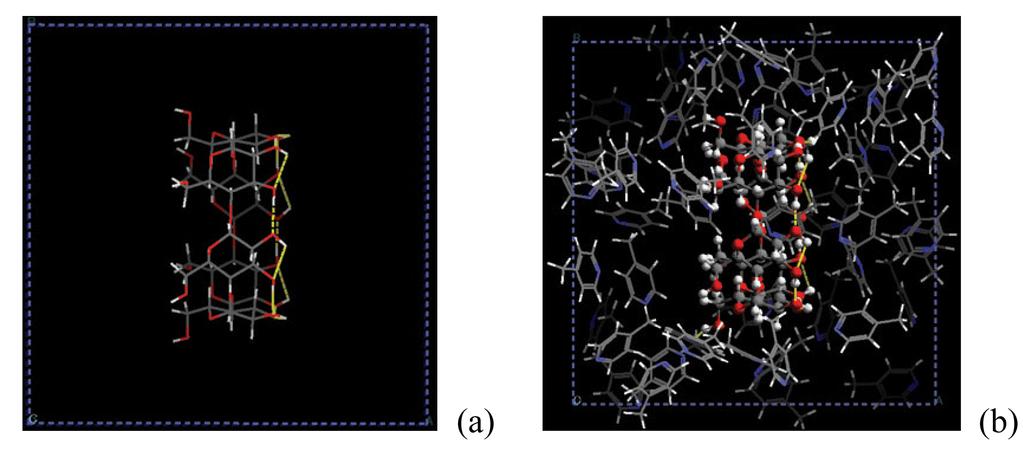 Model studied system: 2004 - NPT molecular dynamics simulations