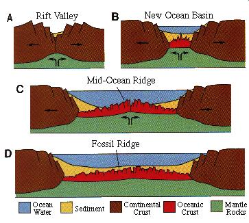 seafloor spreading which