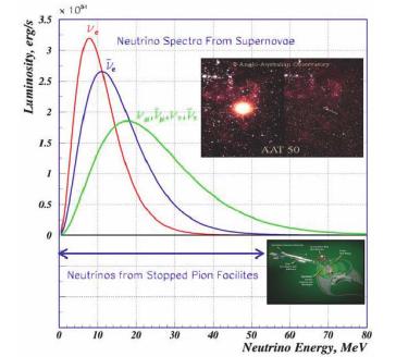 The Spallation Neutron Source Neutrino spectrum in range relevant to astrophysics / supernova