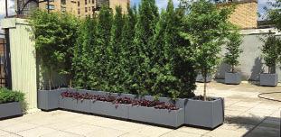 rectangular rimmed Allé planters are suitable for interior and exterior applications and can be used for room dividers and for roof-top applications as well as security barriers and standard