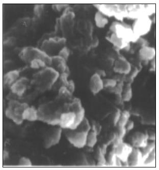 From Clusters to Nanoparticles Physical state of Freeze dried Sucrose Mathlouthi et al. (1986), Carbohydr. Res.,147, 1-9.