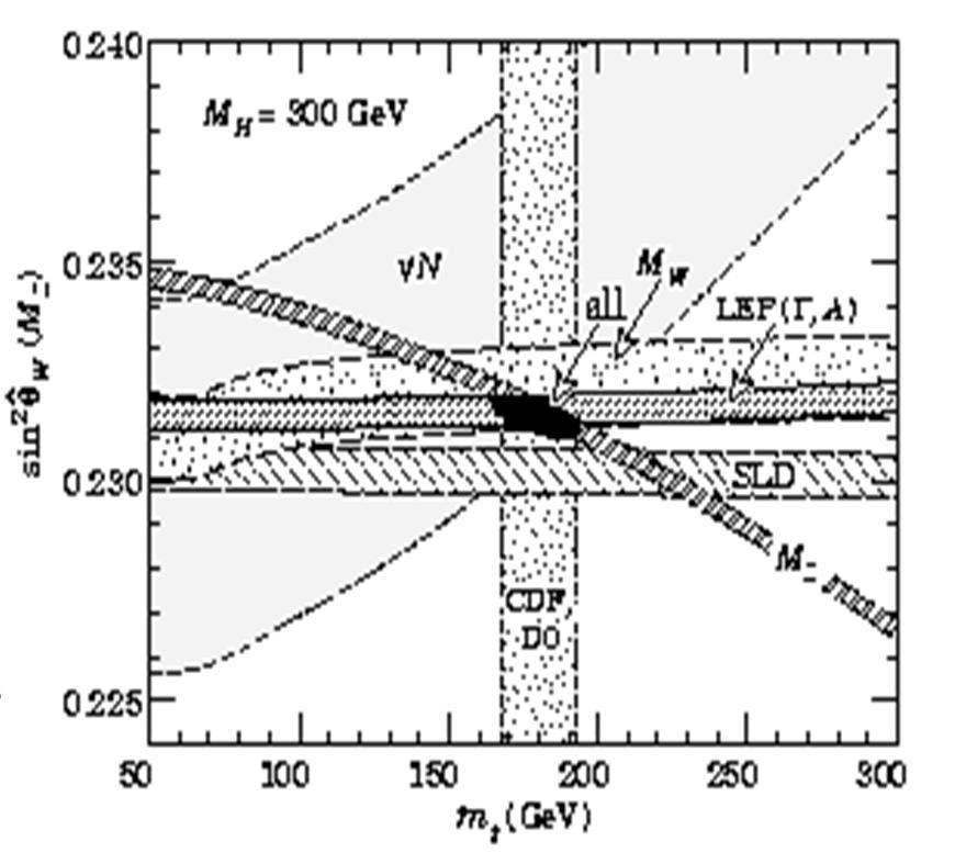The quest for the top quark Electroweak precision measurements at LEP/CERN sensitive to top quark mass and
