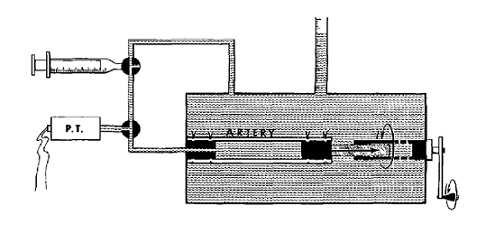 Figure 2: Schematic drawing of the dilatometer as shown in [3]. Saline was pumped into the artery, and stretched to 3 10% of its initial length.