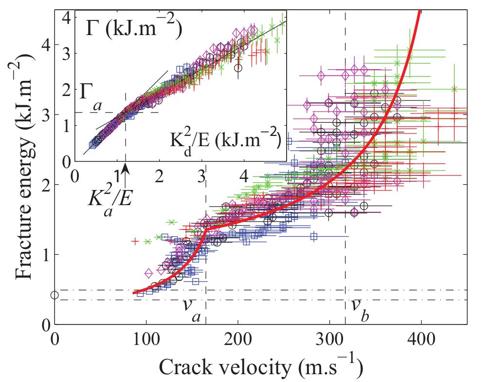Velocity-toughening mechanism Experiments on PMMA report a strong increase of apparent fracture energy with velocity : velocity-toughening mechanism a large part is attributed to an