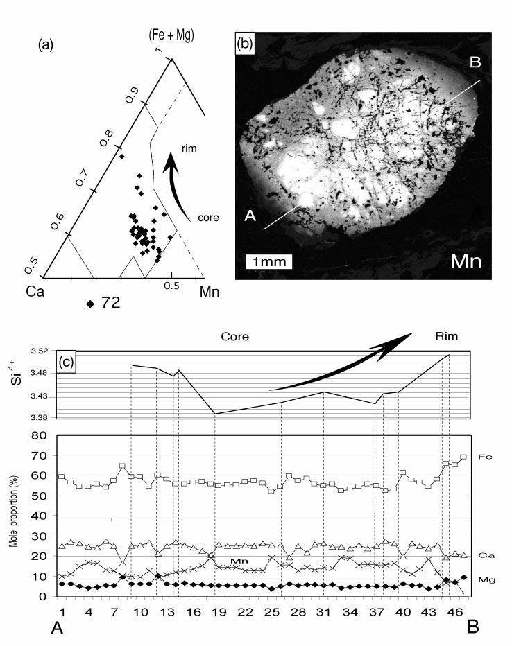 JOURNAL OF PETROLOGY VOLUME 44 NUMBER 7 JULY 2003 Fig. 7. (a) Fe Mg±Ca±Mn diagram showing the range of chemical zoning of large Type-2 garnets in a glaucophane-bearing micaschist (Ga-72).