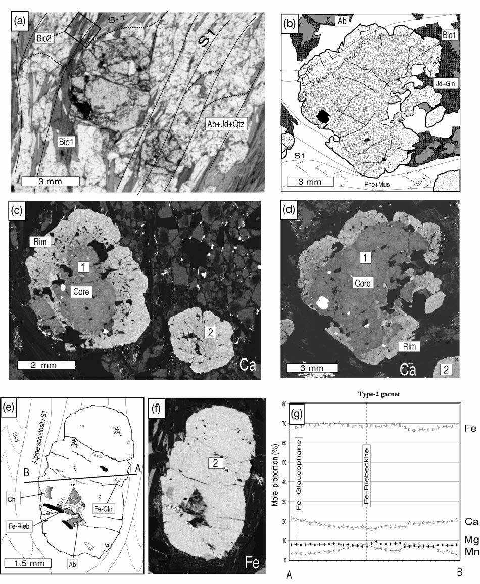 GANNE et al. HIGH-PRESSURE METAMORPHISM, WESTERN ALPS Fig. 8. Bimodal distribution of large Type-1 and Type-2 garnets in the same thin section (Ga-40b: biotite-bearing micaschist).