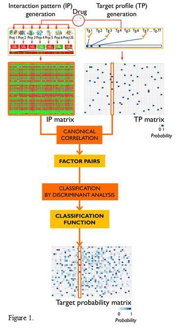 Multidimensional Analyses Multidimensional analyses were applied to relate these two matrices (IP-TP and IP-EP, in separate analyses).