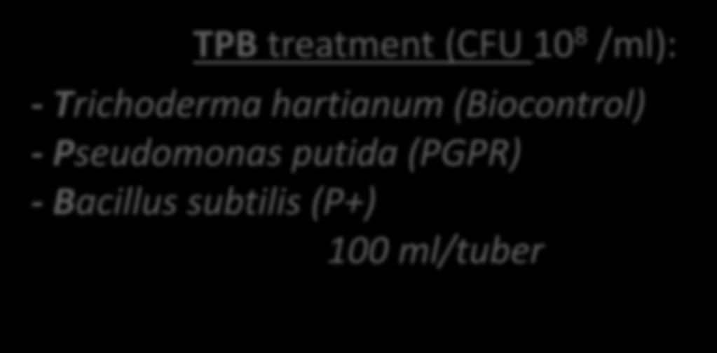 (Biocontrol) ml/tuber TPB treatment