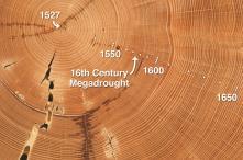 tree rings, and ice. They use remote sensing data.