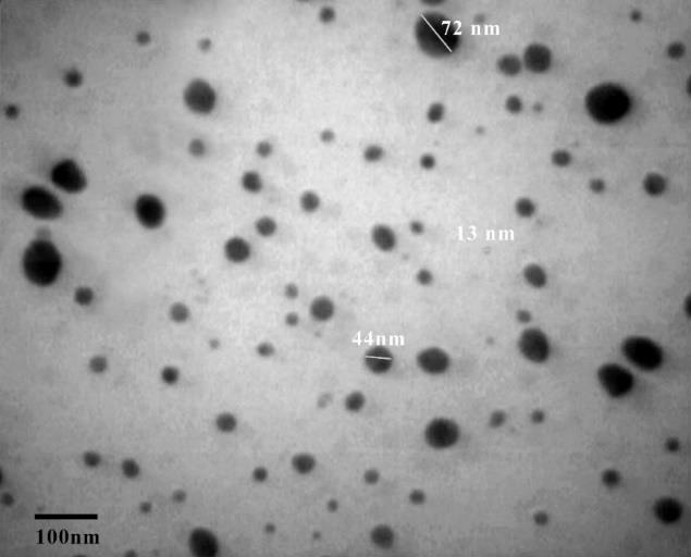 3.4. Morphological Studies Transmission Electron Microscopy (TEM) was used to investigate the morphology of synthesized silver nanoparticles.