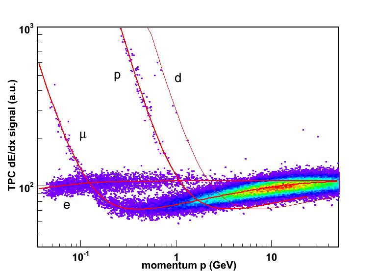 5 T particle identification via de/dx resolution: measured <5% design 5.