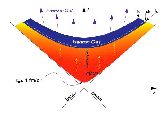 HI - Collision History T c(ritical) : quarks and gluon hadrons T ch(emical) : hadron abundancies freeze out T fo :