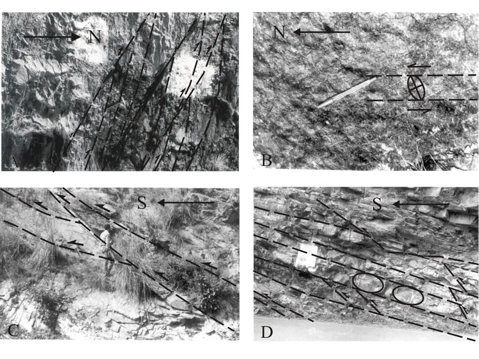 Small-Scale Deformational Structures as Significant Shear-Sense Indicators: An Example from Almora Crystalline Zone, Kumaun Lesser Himalaya: K. K. Agarwal and R.