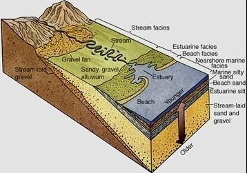 Clastic (Sedimentary) Rocks Particle Size (= Texture) Wentworth (Geologists ) Scale Gravel >2 mm Sand 0.062 mm to 2 mm Silt 0.004 mm to 0.062 mm Clay <0.