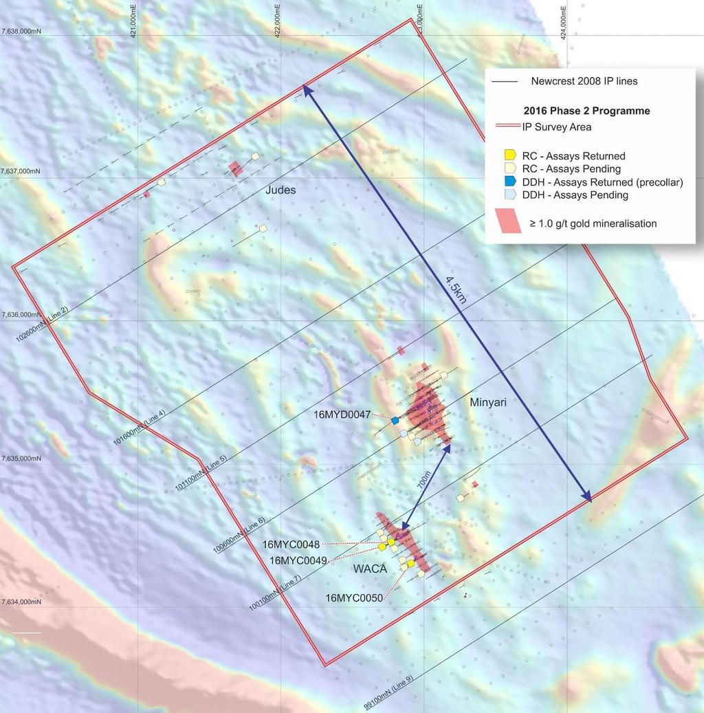 Figure 5: Minyari Dome plan view showing drillhole distribution and location of six 2008 Newcrest IP survey lines, and proposed area for 2016 Phase 2 Exploration Programme IP survey.