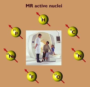 Hydrogen is the mainstay for MRI We will focus on Hydrogen Hydrogen abundant in body (63% of atoms) Elements with even numbers of neutrons and protons have no spin, so we can not image them ( 4 He,