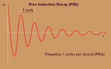 density and M xy FID = Free Induction Decay