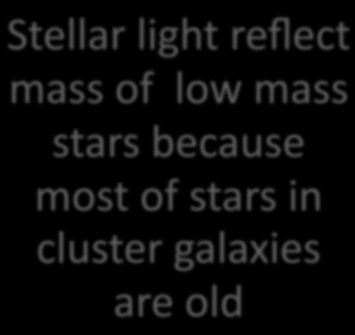 O- mass/stellar light vs.