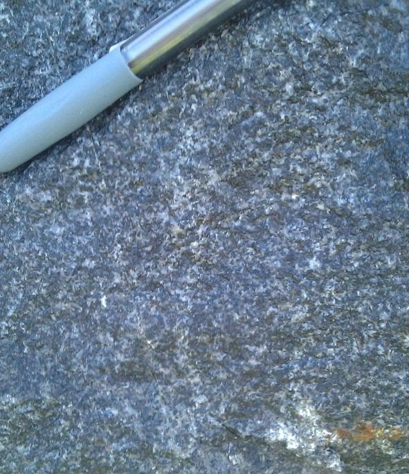 The amphibolite is biotite-rich and shows a distinct foliation following the general foliation