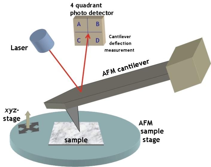 Atomic force microscope A tip