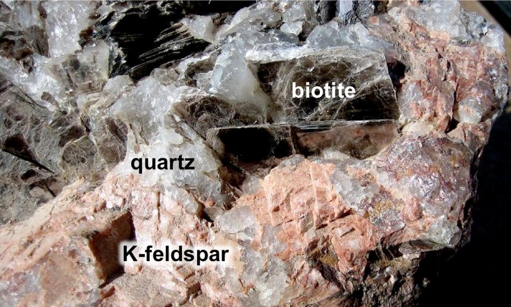 decomposed plant matter preserved in coal. A rock can be composed of only one type of geological material or mineral, but many are composed of several types. Figure 6.