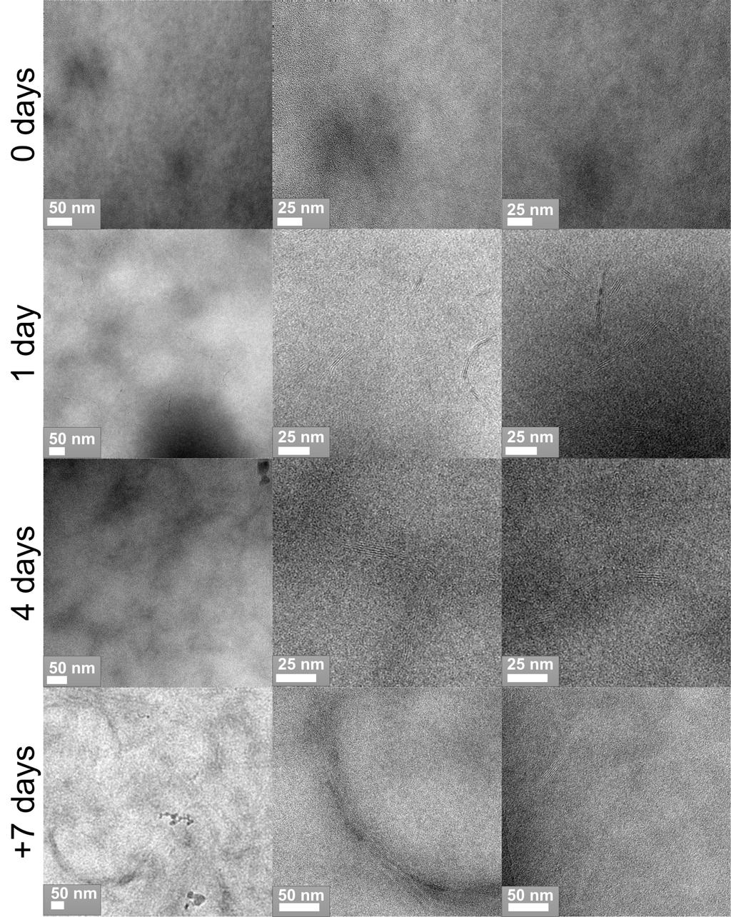Figure S2: Cryo-TEM images showing in detail the growth of P3HT nanowires in a 1 mass % P3HT:PCBM 1:1 blend in toluene.
