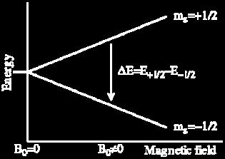 0 - since electrons are charged they act like magnetic dipole in the presence of a magnetic field - nuclei also have magnetic dipole and intrinsic angular momentum, I, but unlike electrons they are