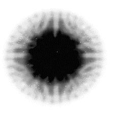 (a) Kg/m 3 (b) (c) Figure 5-8: Horizontal upward facing orientation (WBC) (a) Particles released from the pupil surface,