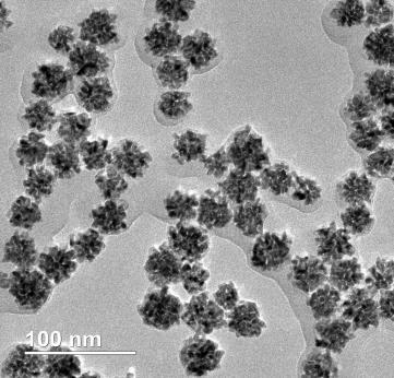 HRTEM image of the obtained Au-Rh nanocrystals in the absence of