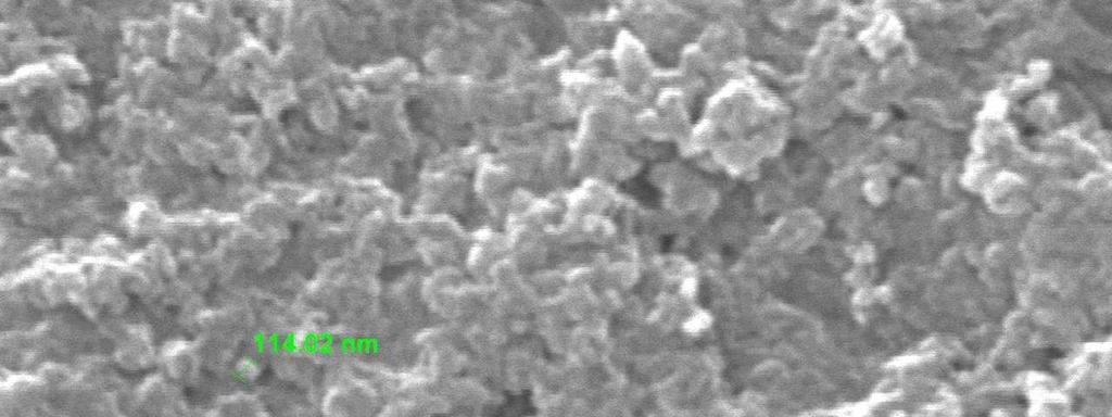 and proteins possibly form a layer over the metallic nano particles to