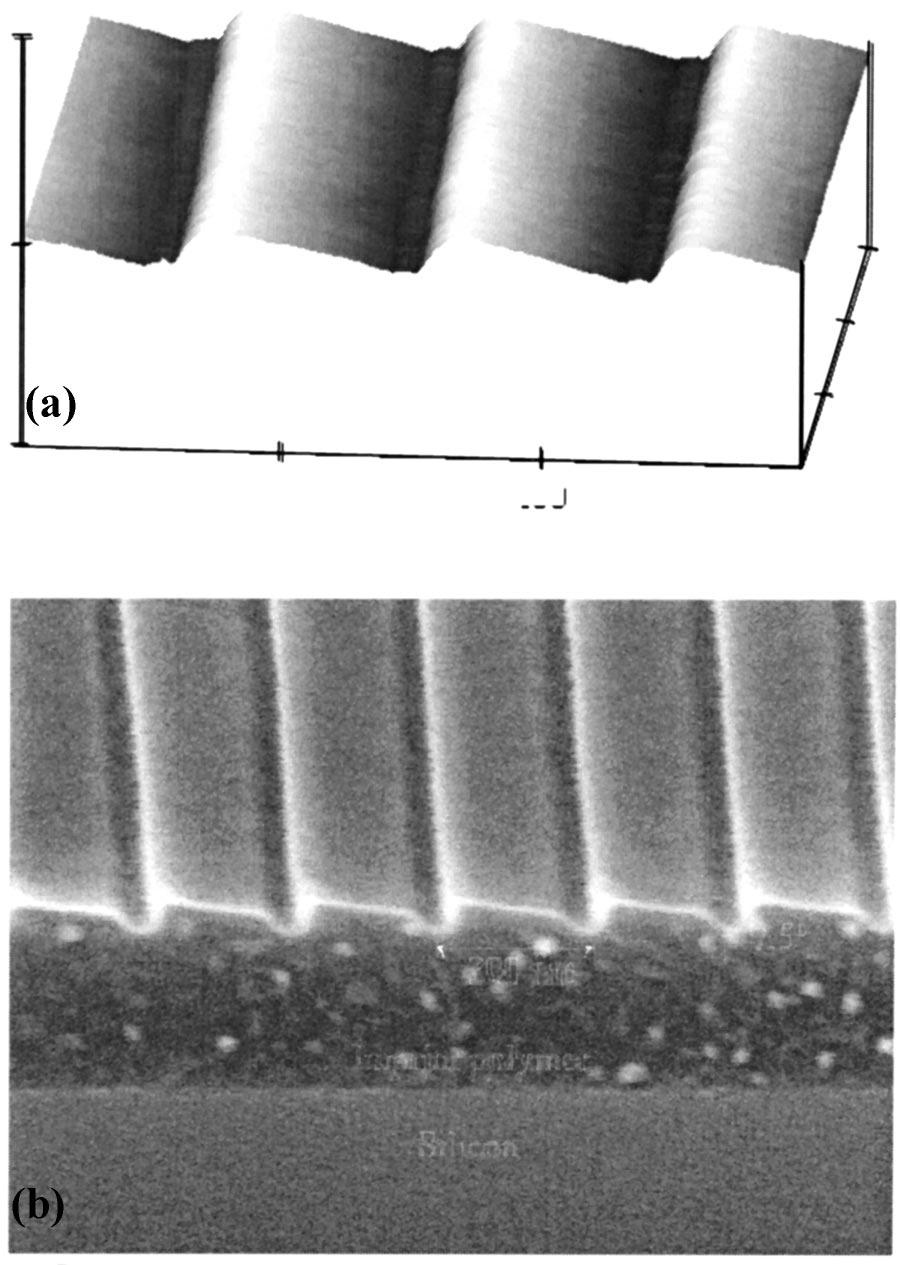 The pattern was transfered using reactive ion etching to a silicon nitride layer, which was used as the mask for the subsequencial anisotropic KOH etch. The nitride mask was removed with HF.