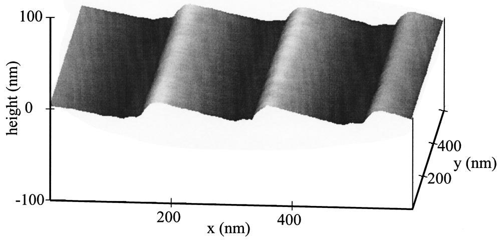 The rootmean-square (rms) roughness of the blazed facets as measured by AFM is 0.2 nm. The replication of the blazed gratings was conducted at Nanonex Corporation.