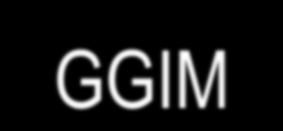External Pressure - Worldwide: UN-GGIM (GGIM: Global Spatial Information Management http://ggim.un.