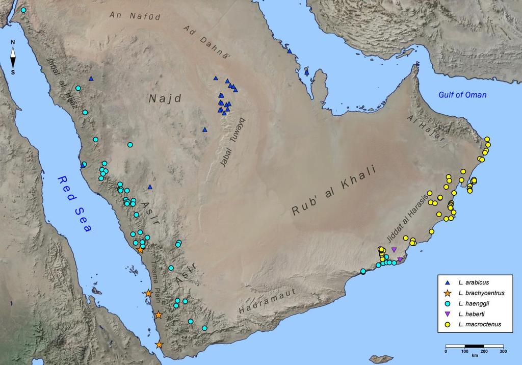 122 Euscorpius 2014, No. 191 Figure 100: Geographic plot of locality data of material examined for five species of Leiurus from the Arabian Peninsula.
