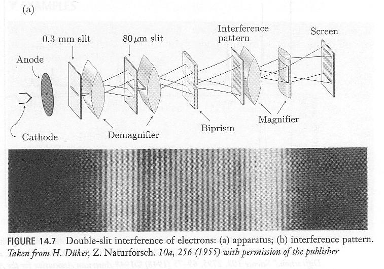 Davisson-Germer: interpretation Bragg condition for constructive interference (diffraction maxima) n " = 2a sin! a = 0.