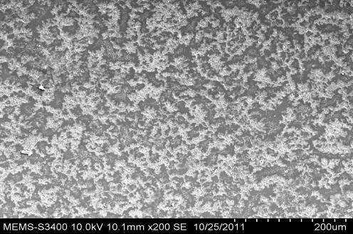 5nm-500µm 3wt% HDTMS nano-silica 5wt% HDTMS nano-silica