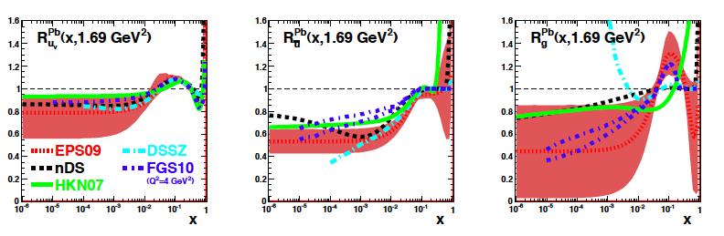 Complex nuclear effects, not yet fully understood [Existing DIS data] Quarks from DIS & DY Gluon mainly from dau
